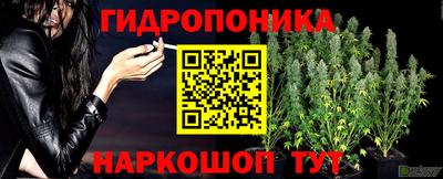 2c-b Будённовск