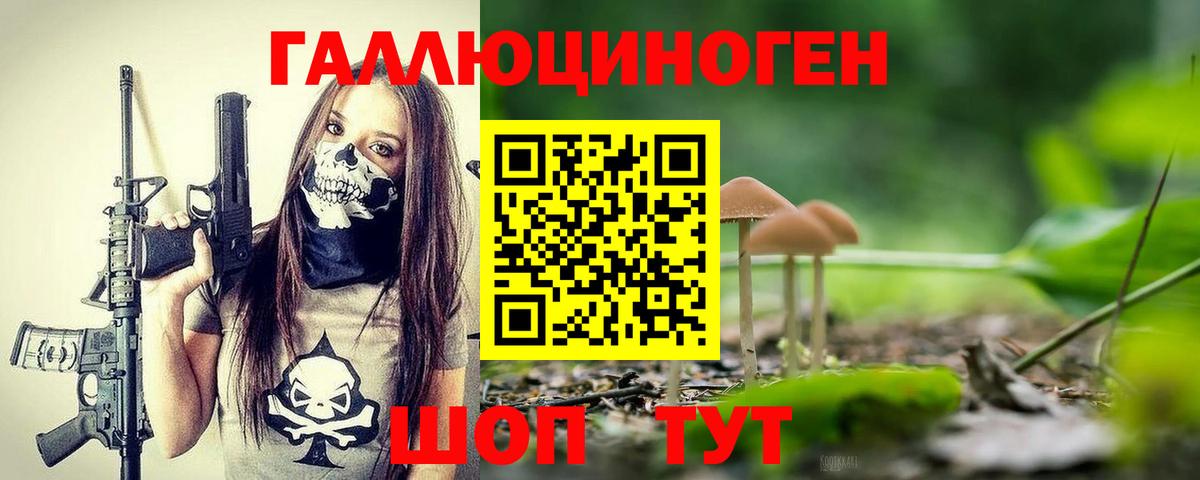 Галлюциногенные грибы GOLDEN TEACHER  купить наркотики сайты  Армавир  Вход с VPN 